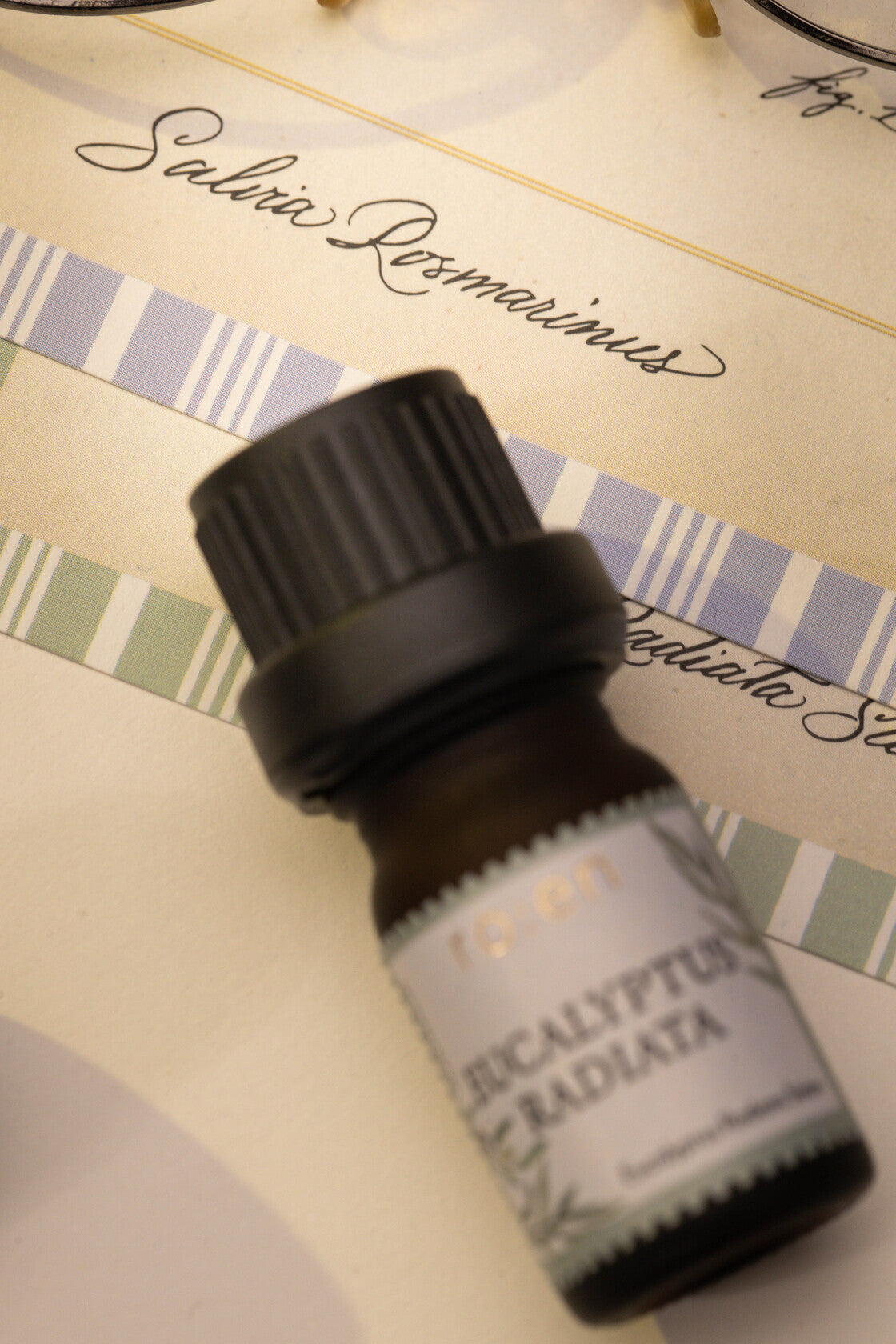 The Breath of Life: Exploring Eucalyptus Radiata Essential Oil